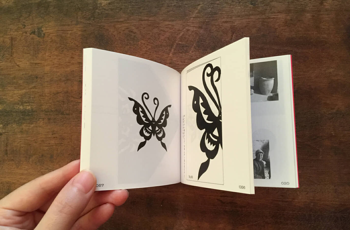 『中国の蝶』書籍イメージ