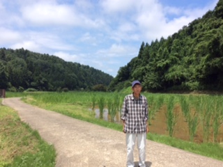 マコモ探索中に三井田さんから送っていただいた新潟県柏崎市のまこも田の画像です