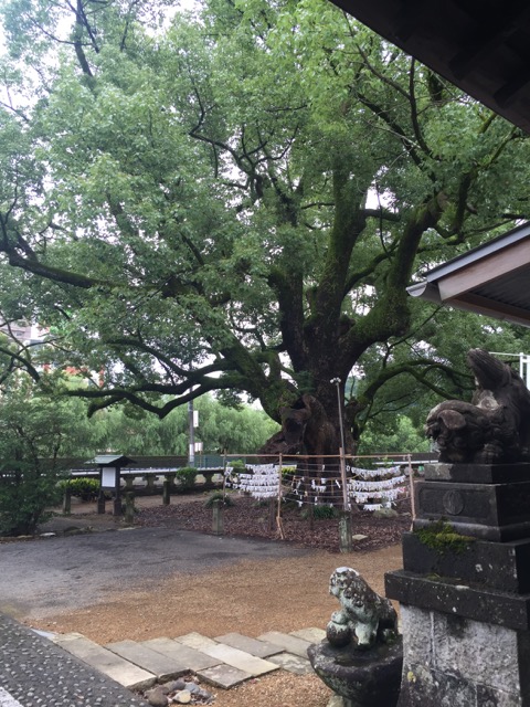 長崎県諫早神社