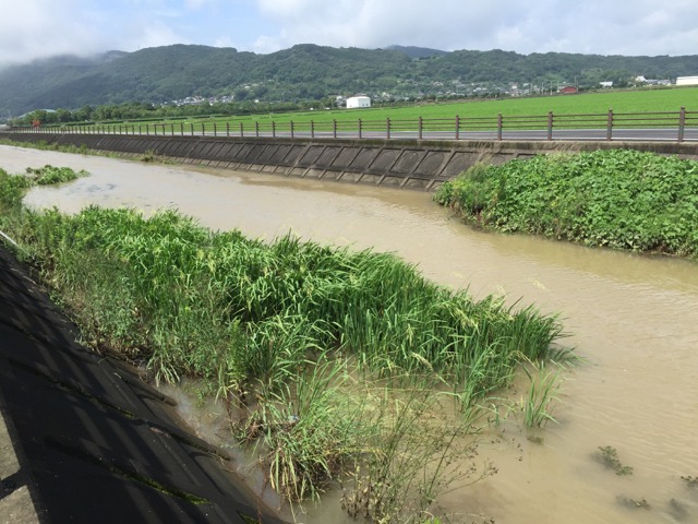 長崎県諫早田園地帯の用水路