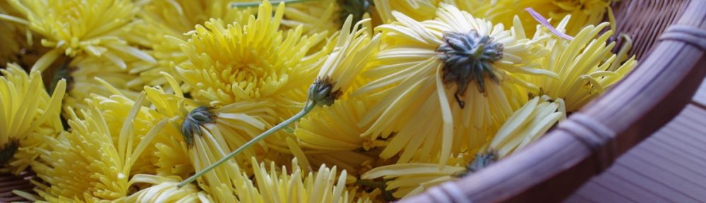 ザルの中の菊の花