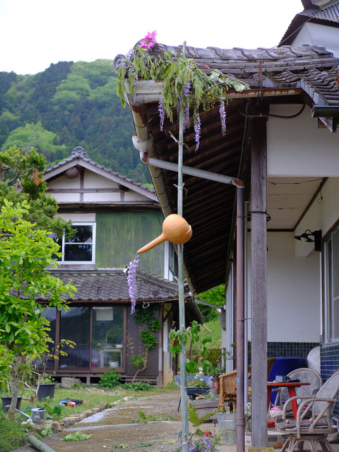 兵庫県のＮさまより送っていただいた画像です