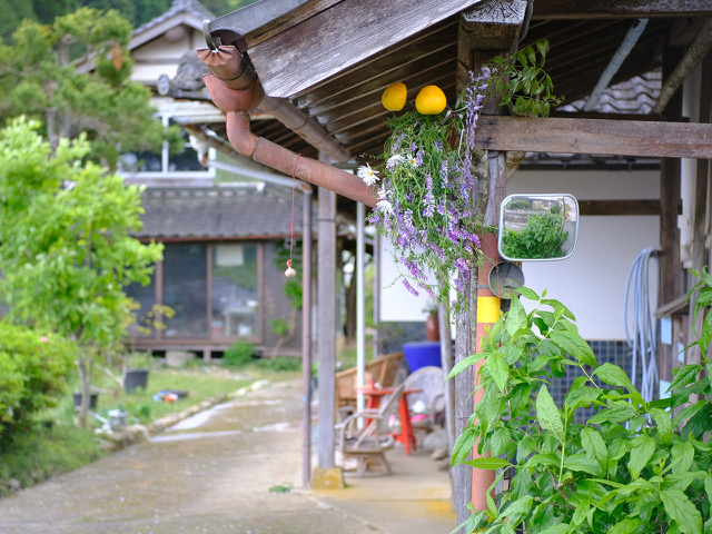 兵庫県のＮさまより送っていただいた画像です