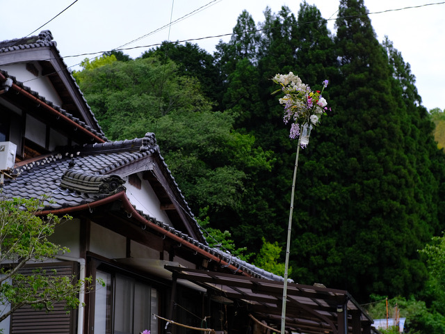 兵庫県のＮさまより送っていただいた画像です