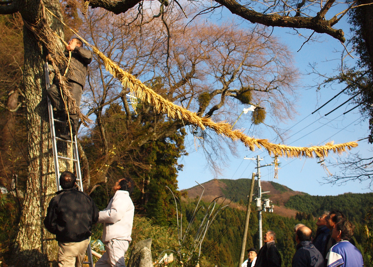 永幡淳平さんより送っていただいた画像です