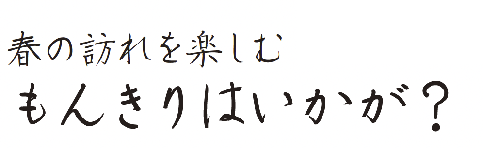 もんきり制作例