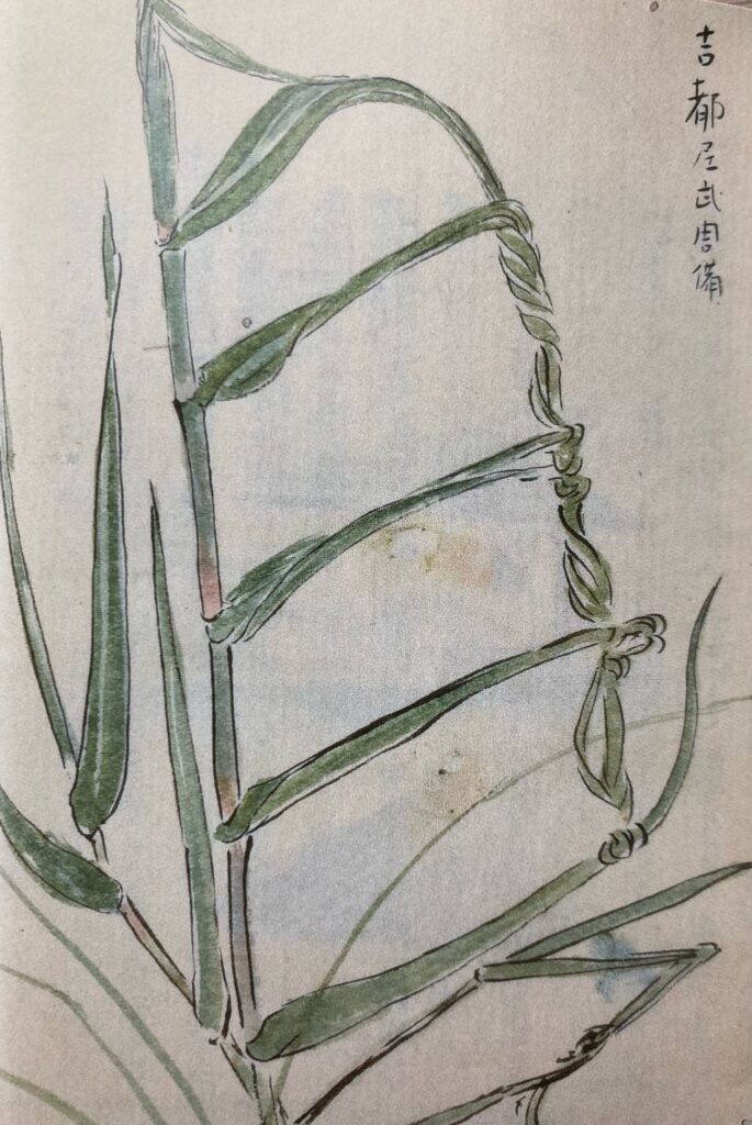 『菅江真澄図絵の旅』（菅江真澄　著　石井正己　編　KADOKAWA）より